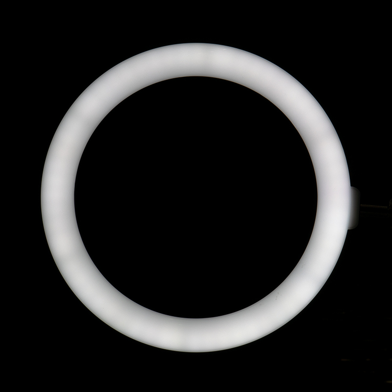 Ringlicht 10' 8W schwarze LED-Ringlampe für Tischplatte