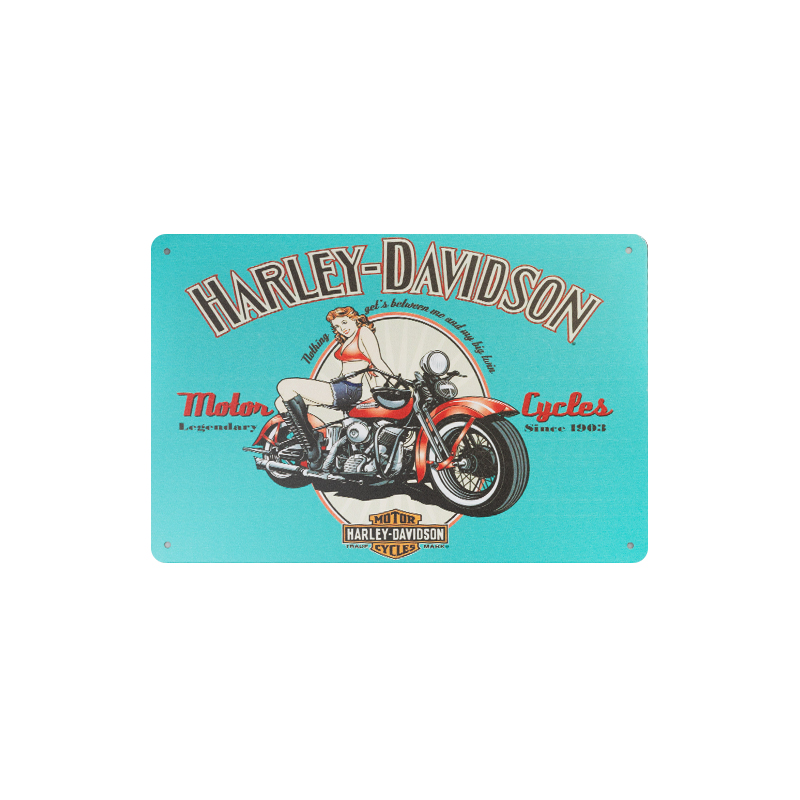 Dekorplatte Harley HD010
