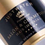 Wasser Friseurspray Gold Champagner 350 ml